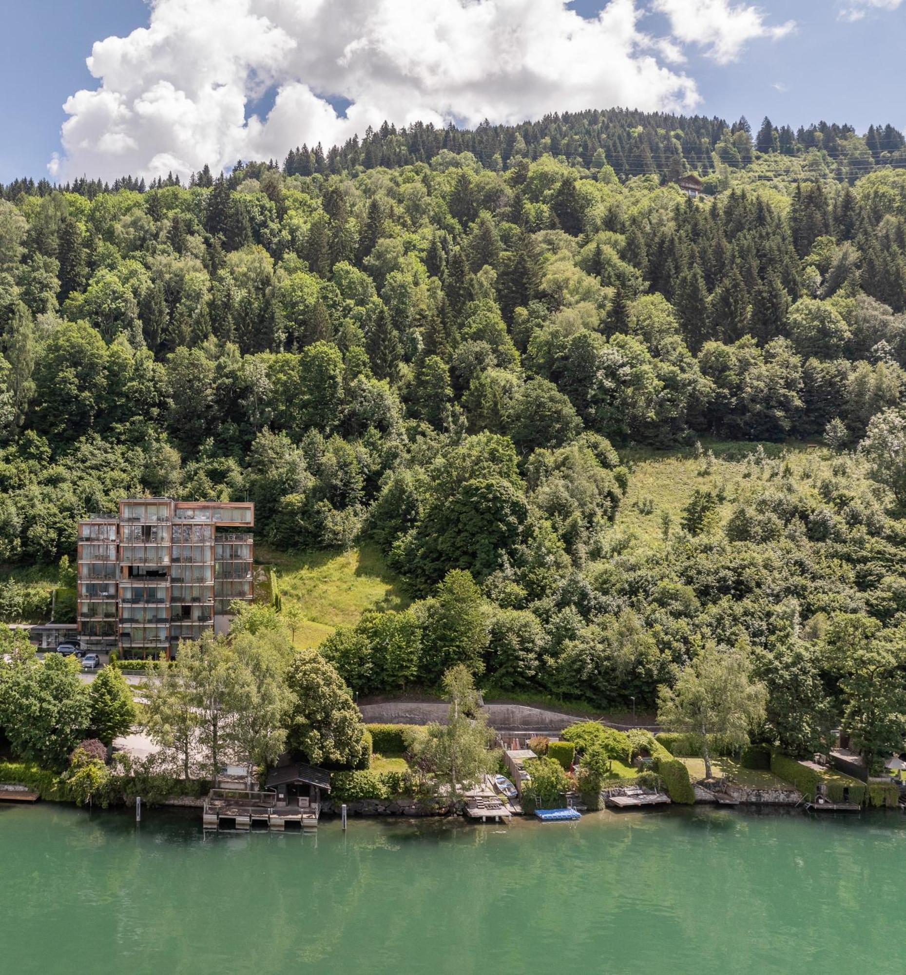 Bellevue - Incl Summercard Apartment Zell am See